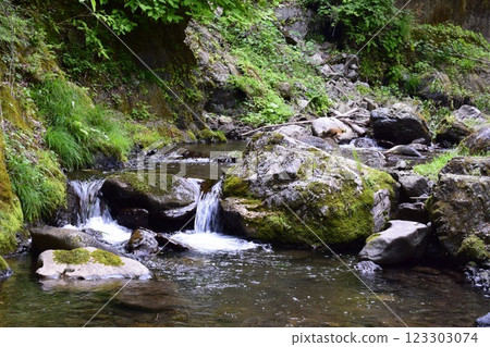 The river flowing under Otake Cave 123303074
