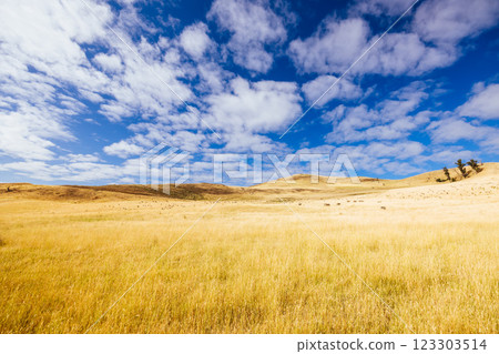 Landscape Near Ouse in Tasmania Australia Landscape Near Ouse in Tasmania Australia 123303514