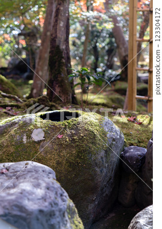 Kyoto City, Rakuhoku Kamikoyasu Suishacho, Rinzai sect Daitokuji school, Seikenji temple, Japanese garden Kyoto City, Rakuhoku Kamikoyasu Suishacho, Rinzai sect Daitokuji school, Seikenji temple, Japanese garden 123304172