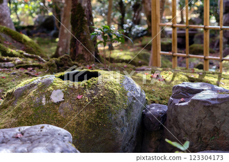 Kyoto City, Rakuhoku Kamikoyasu Suishacho, Rinzai sect Daitokuji school, Seikenji temple, Japanese garden Kyoto City, Rakuhoku Kamikoyasu Suishacho, Rinzai sect Daitokuji school, Seikenji temple, Japanese garden 123304173