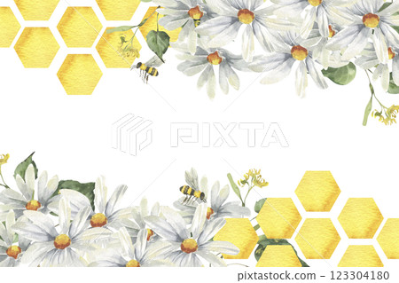 Golden honey combs hexagon with white chamomile flowers and bees watercolor banner. Hand drawn frame with copy space clipart, floral painting with field flowers for organic shop,medicine pack design 123304180
