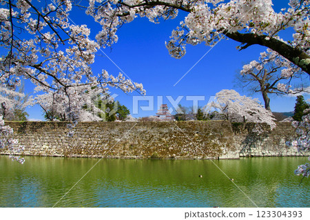 從外護城河俯瞰敦賀城(福島縣會津若松市) 從外護城河俯瞰敦賀城(福島縣會津若松市) 123304393