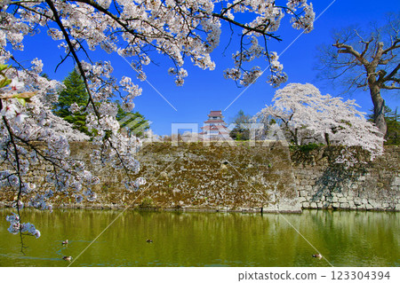 從外護城河俯瞰敦賀城(福島縣會津若松市) 從外護城河俯瞰敦賀城(福島縣會津若松市) 123304394
