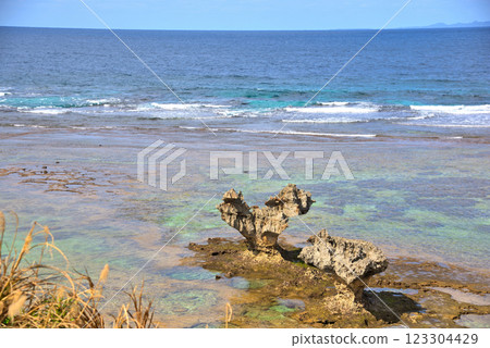 沖繩縣古宇利島的心形岩 沖繩縣古宇利島的心形岩 123304429