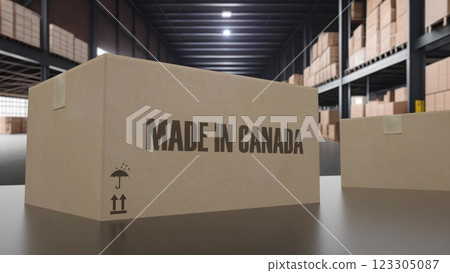 Boxes with MADE IN CANADA text on conveyor. 3d illustration Boxes with MADE IN CANADA text on conveyor. 3d illustration 123305087