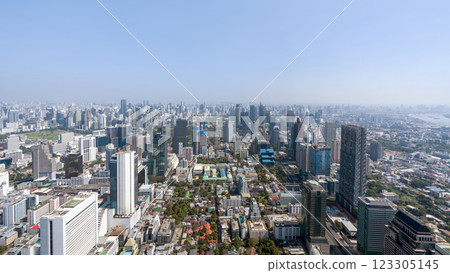 A panoramic view of a bustling city featuring skyscraper and a mix of urban building. The clear sky provide a stunning backdrop to the dynamic landscape below. Bangkok, Thailand. 123305145
