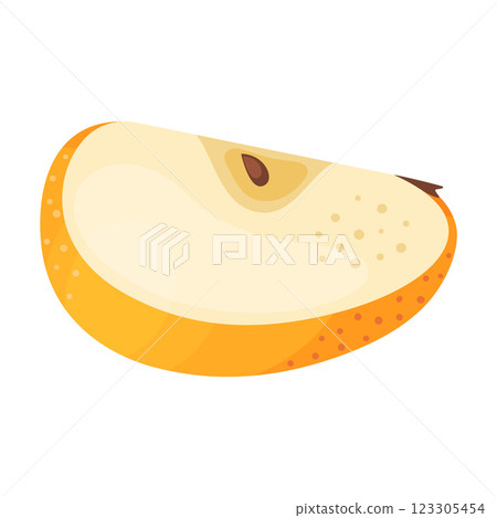 Slice of fresh yellow apple fruit, fresh garden fruit. Hand drawn food clipart Flat style Slice of fresh yellow apple fruit, fresh garden fruit. Hand drawn food clipart Flat style 123305454