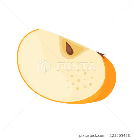 Slice of fresh yellow apple fruit, fresh garden fruit. Hand drawn food clipart Flat style Slice of fresh yellow apple fruit, fresh garden fruit. Hand drawn food clipart Flat style 123305458