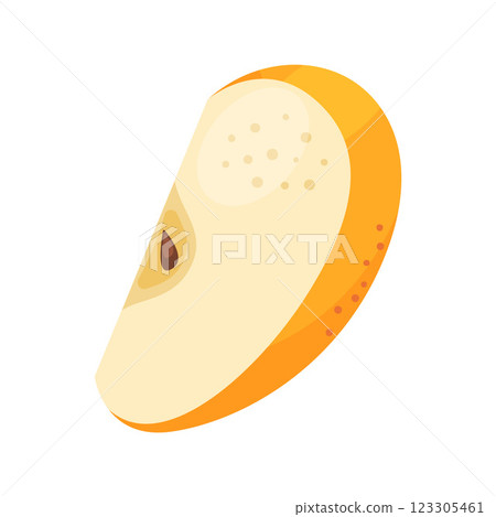 Slice of fresh yellow apple fruit, fresh garden fruit. Hand drawn food clipart Flat style 123305461