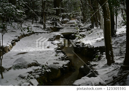 連接西園和中園（平安神宮）的小溪上的積雪 123305591