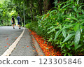 Serene Park Pathway with People Walking Amidst Lush Greenery 123305846