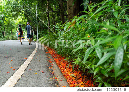 Serene Park Pathway with People Walking Amidst Lush Greenery 123305846