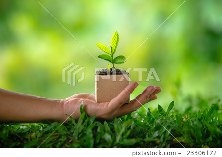 Hands holding a small green plant symbolizing growth and care for the environment,The concept of saving the world and passing on nature Hands holding a small green plant symbolizing growth and care for the environment,The concept of saving the world and passing on nature 123306172