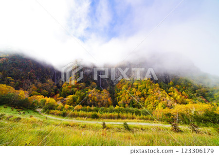 Yonago Falls surrounded by autumn leaves: A relaxing journey through the natural beauty of Nagano 123306179