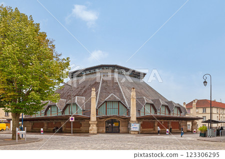 The covered market in Soissons The covered market in Soissons 123306295