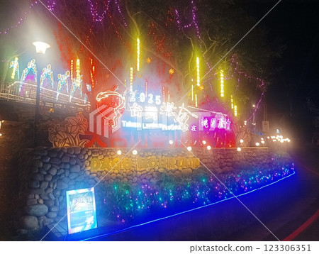 台灣燈會～桃園蘆竹 123306351