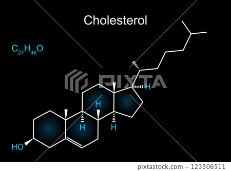 Cholesterol molecule. Skeletal formula of Lipid 123306511