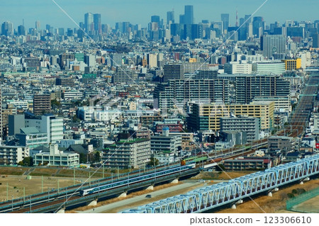 Aerial view of the express train Odoriko crossing the Rokugogawa Bridge Aerial view of the express train Odoriko crossing the Rokugogawa Bridge 123306610