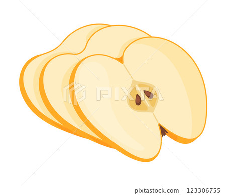 Slices of fresh yellow apple fruit, fresh garden fruit. Hand drawn food clipart Flat style Slices of fresh yellow apple fruit, fresh garden fruit. Hand drawn food clipart Flat style 123306755