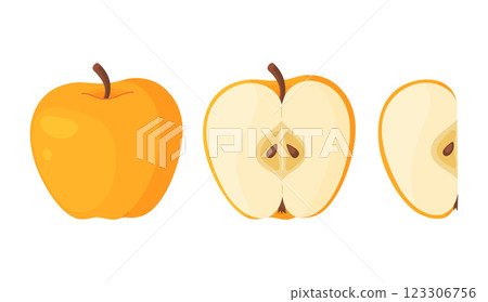 Yellow ripe apple, fresh garden fruit. Hand drawn food clipart. Whole, half, slice fruit  123306756