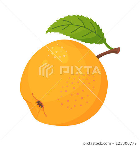 Yellow ripe apple with leaf, fresh garden fruit. Hand drawn food clipart. Whole fruit  123306772