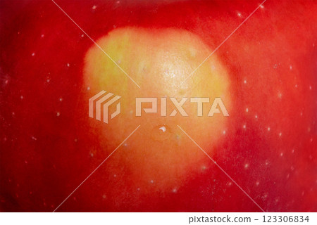 Abstract background texture of red apple macro photo. Abstract background texture of red apple macro photo. 123306834