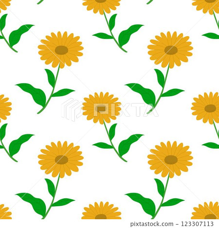 Seamless pattern with drawn calendula flowers Seamless pattern with drawn calendula flowers 123307113