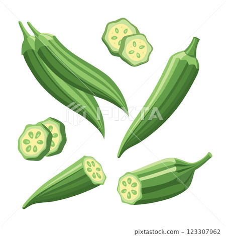 Collection of fresh green okra on white background. Green roselle or okra, cut pieces. Food illustration. 123307962
