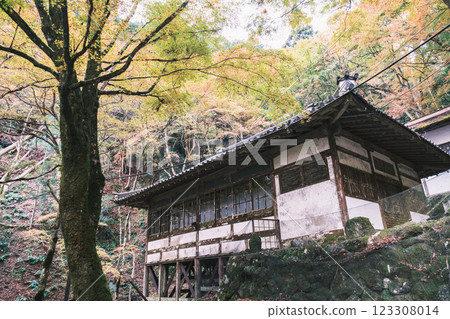 【大智屋阿彌陀寺】繽紛的紅葉預示著秋天的到來 【大智屋阿彌陀寺】繽紛的紅葉預示著秋天的到來 123308014