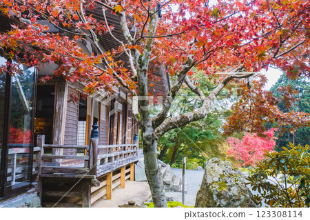 [Kochiya Amidaji Temple] Impressive scenery with beautiful autumn leaves 123308114