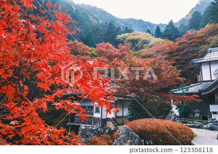 【大智屋阿彌陀寺】紅葉美景令人難忘 【大智屋阿彌陀寺】紅葉美景令人難忘 123308118