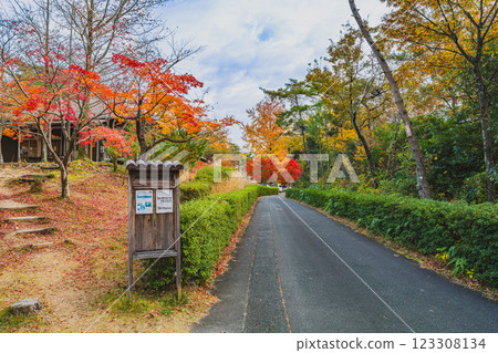Walking through the autumn leaves at Shizuoka Prefectural Forest Park in Hamamatsu City (Shizuoka Prefecture) Walking through the autumn leaves at Shizuoka Prefectural Forest Park in Hamamatsu City (Shizuoka Prefecture) 123308134