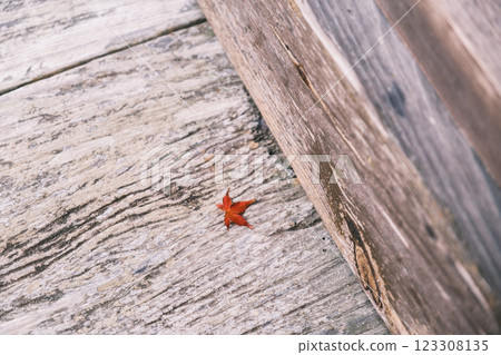 [Kochiya Amidaji Temple] Fallen autumn leaves in the temple corridor 123308135