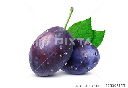 Prune illustration realistic 123308155