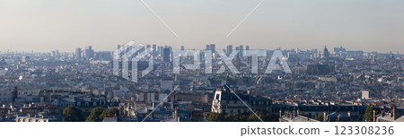 Panoramic view of Paris 123308236