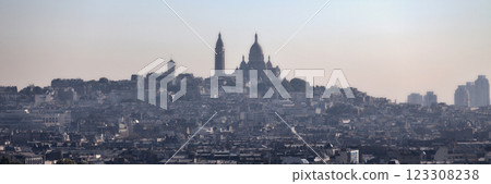 Aerial view of the Sacre-Coeur in Paris 123308238