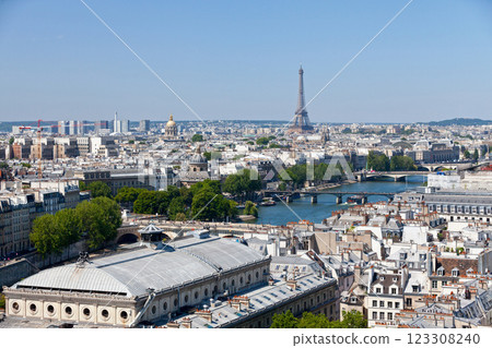 Cityscape of Paris 123308240