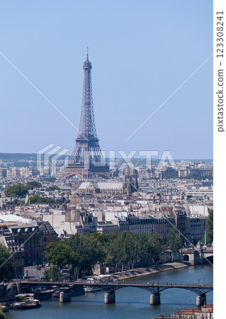 Aerial view of the Eiffel Tower in Paris Aerial view of the Eiffel Tower in Paris 123308241