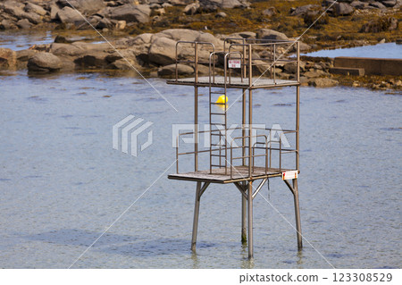 The Beach of Roc'h Kroum in Roscoff 123308529