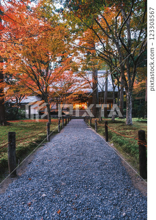 [Sanzen-in Temple] Colorful autumn leaves and a historic building 123308567