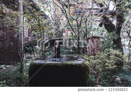 [Sanzen-in Temple] Historical building scenery 123308821