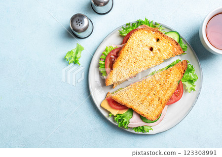Healthy sandwich with ham, cheese and vegetables 123308991