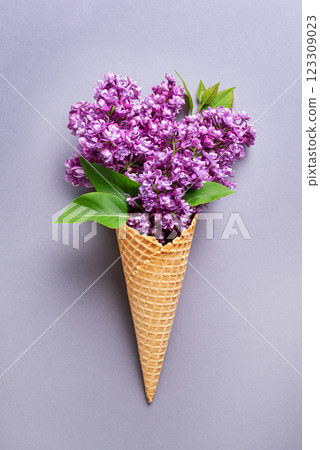 Purple lilac flowers in waffle cone 123309023