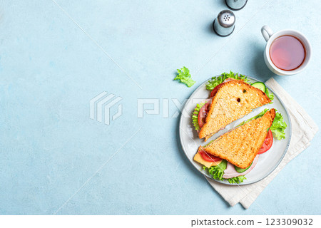 Fresh club sandwich cut in half 123309032