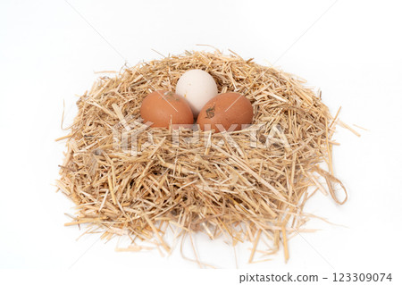 Organic eggs in a straw nest isolated on white background Organic eggs in a straw nest isolated on white background 123309074