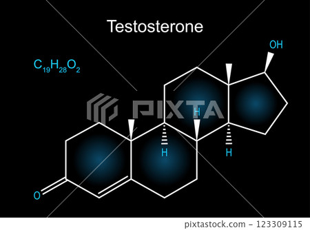 Testosterone molecule. Skeletal chemical formula of male sex hormone 123309115