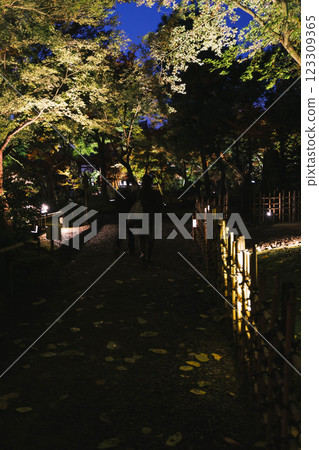 [高台寺] 美麗的紅葉燈光秀 123309365