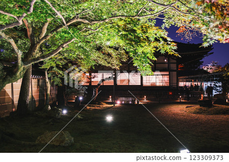 [高台寺] 美麗的紅葉燈光秀 123309373