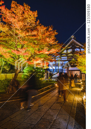 [高台寺] 美麗的紅葉燈光秀 123309380