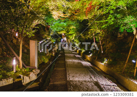 [高台寺] 美麗的紅葉燈光秀 123309381